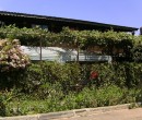 Casa Deea